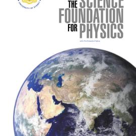 Science Foundation for Physics Annual Report 2007
