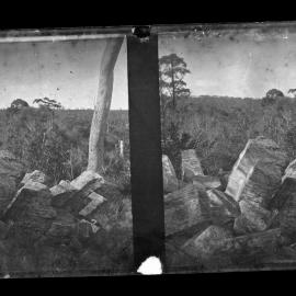 Columnar Sandstone Outcrops, Lane Cove