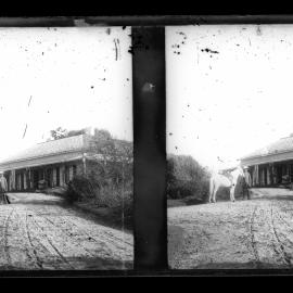 Driveway to Stone House, Possibly Kurrajong