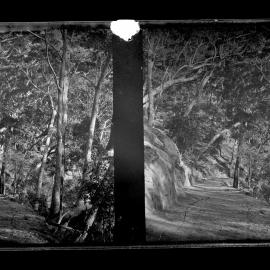 Bush Road, Cut Rocks?, Possibly Kurrajong or Mt Tomah