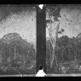 Clearing with Tree Trunks and Palms, Possibly Kurrajong or Mt Tomah