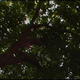 Optics (Series 4) - Third Version - Reflection and Refraction