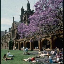 Students Relaxing in Quadrangle