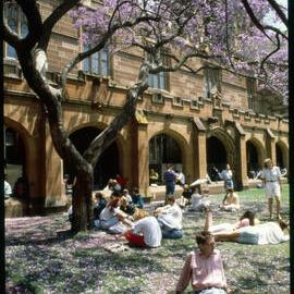 Students Relaxing in Quadrangle