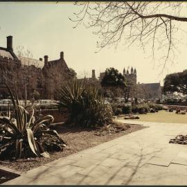 Lawn Next to Edgeworth David Building