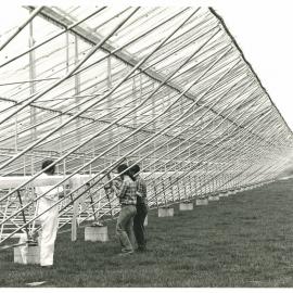 Mills Cross Radio Telescope Construction