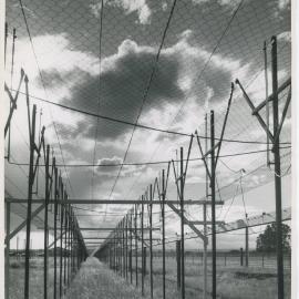 Mills Cross Radio Telescope