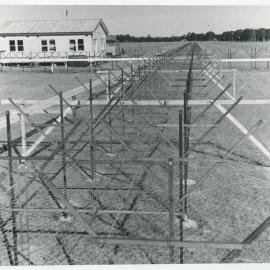 Mills Cross Radio Telescope