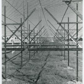 Mills Cross Radio Telescope