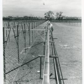 Mills Cross Radio Telescope