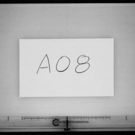 Heydon-Laurence Building - Zoology Building - Microfilm Roll F338