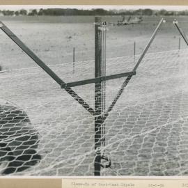 Construction of the Fleurs Cross and Radioastronomy Field Station - Close-Up of East-West Dipole