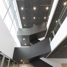 Sydney Nanoscience Hub