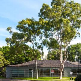 Evelyn Williams Building