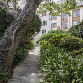 Vice-Chancellor's Garden 