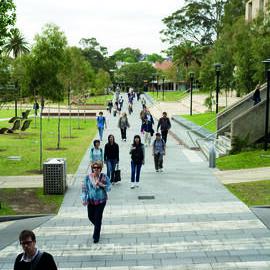 Walkway Along Cadigal Green from Jane Foss Russell Building to Shepherd Street