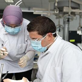 Sydney Dental School Students