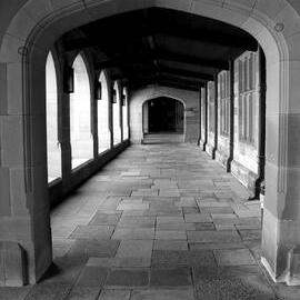 Quadrangle Cloisters