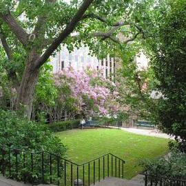 Chancellor's Garden in the Quadrangle