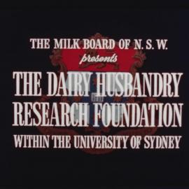 The Dairy Husbandry Research Foundation Within the University of Sydney