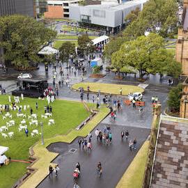 Aerial View of Front Lawn and Eastern Avenue on Open Day
