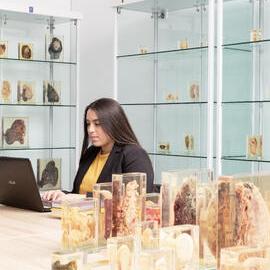 Student at Westmead Hospital Library Pathology Display