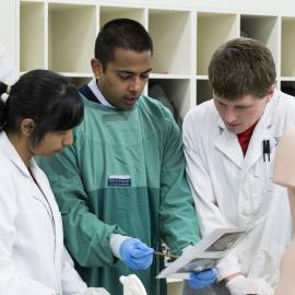 Medicine Students with Anatomy Model