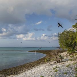 One Tree Island Research Station
