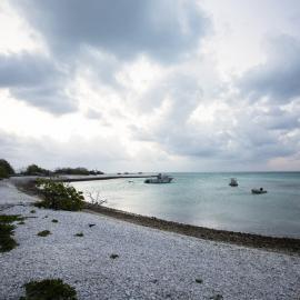 One Tree Island Research Station