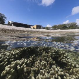 One Tree Island Research Station
