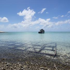 One Tree Island Research Station