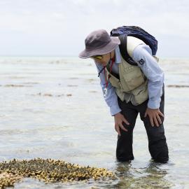 One Tree Island Research Station