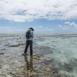 One Tree Island Research Station