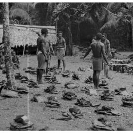 Tungi Dividing the Hola