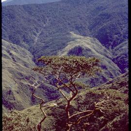 View from Guari to Gap