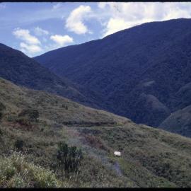 Mountainside, Papua New Guinea