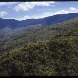 Mountainside, Papua New Guinea
