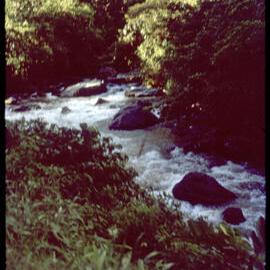 River, Papua New Guinea