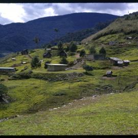 Village, Papua New Guinea