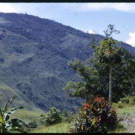 Tapini, Papua New Guinea