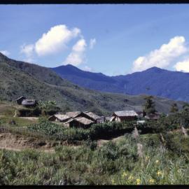 Village, Papua New Guinea