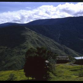 Guari, Papua New Guinea