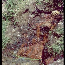 Soil in Papua New Guinea
