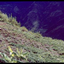 Mountainside, Papua New Guinea