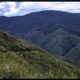 Mountainside, Papua New Guinea
