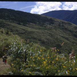 Mountainside, Papua New Guinea