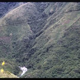 Mountainside, Papua New Guinea