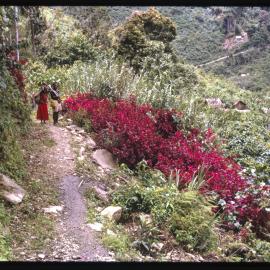 Man and Woman on Mountainside