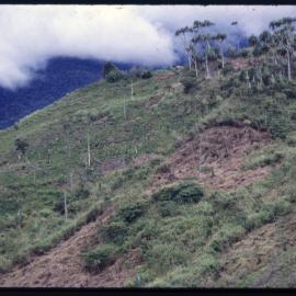 Mountainside, Papua New Guinea