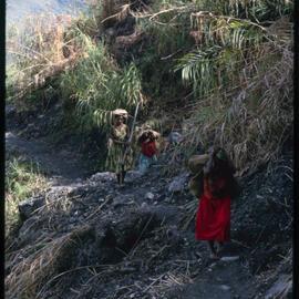 Three Women on Mountainside